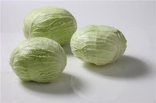 卷心菜知识介绍：卷心菜和包菜的区别
