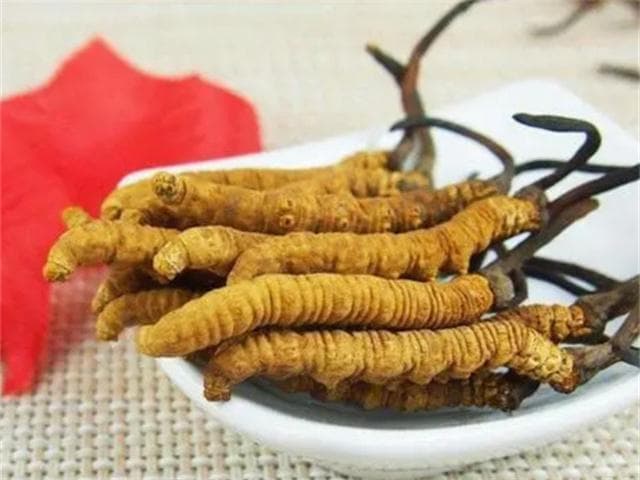 冬虫夏草的食用频次：探寻最佳养生节奏