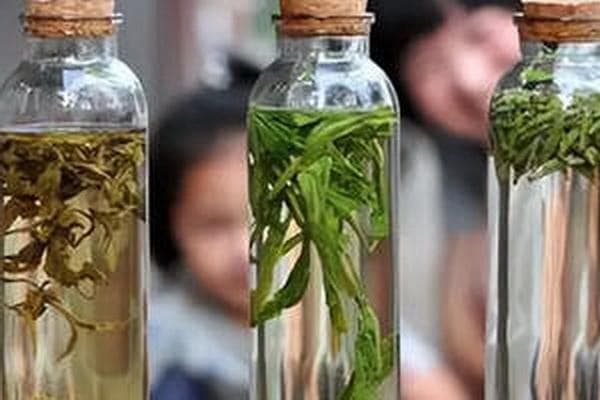 茶包袋材质玉米纤维 VS 无纺布