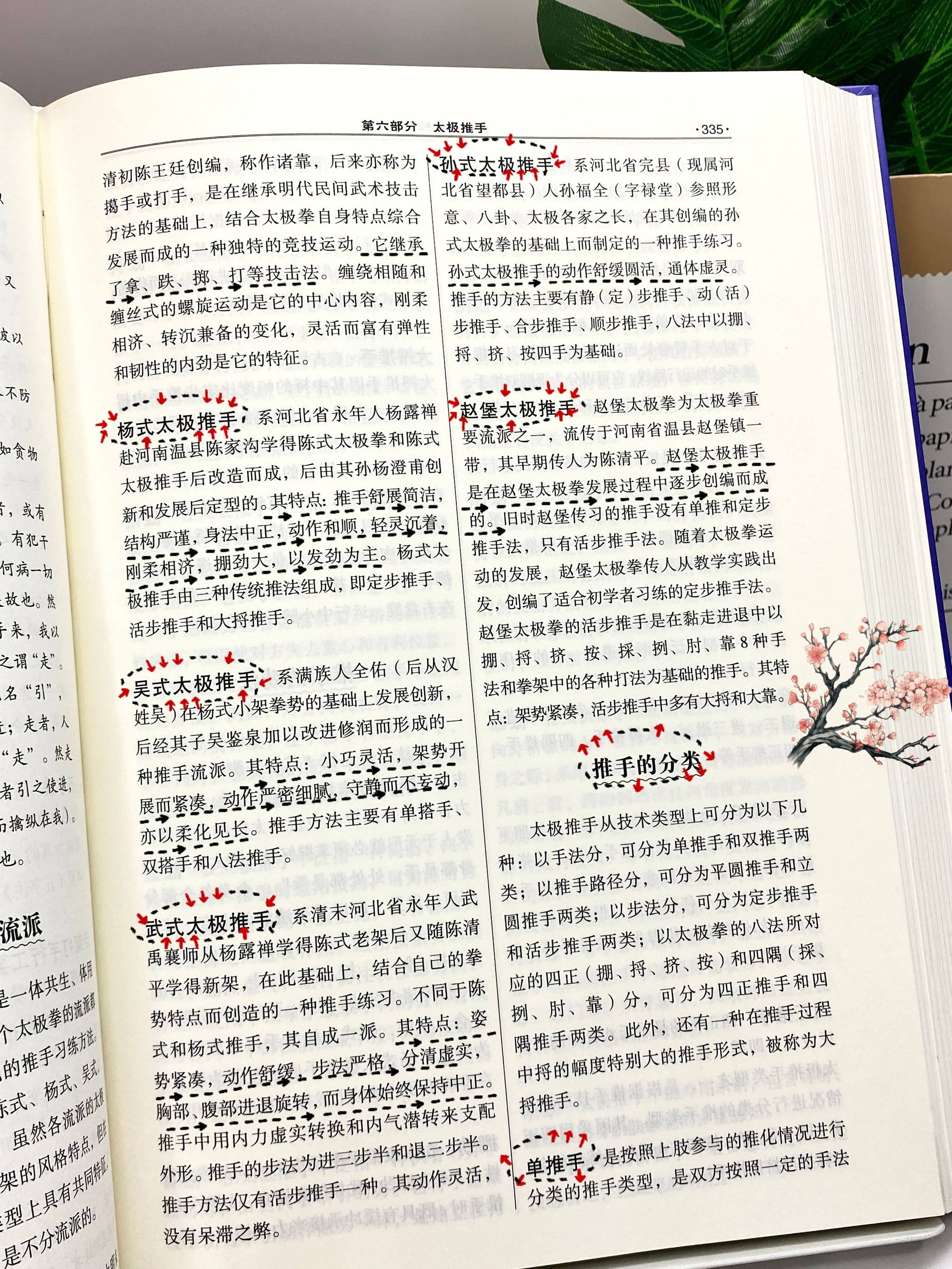 推手的主要流派-杨丽太极拳知识大全