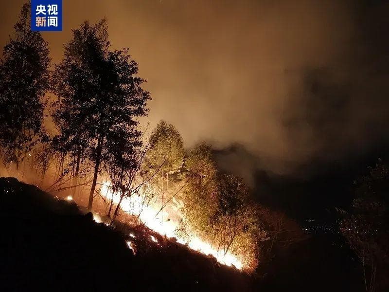 14时肇庆山火，600人投入扑救