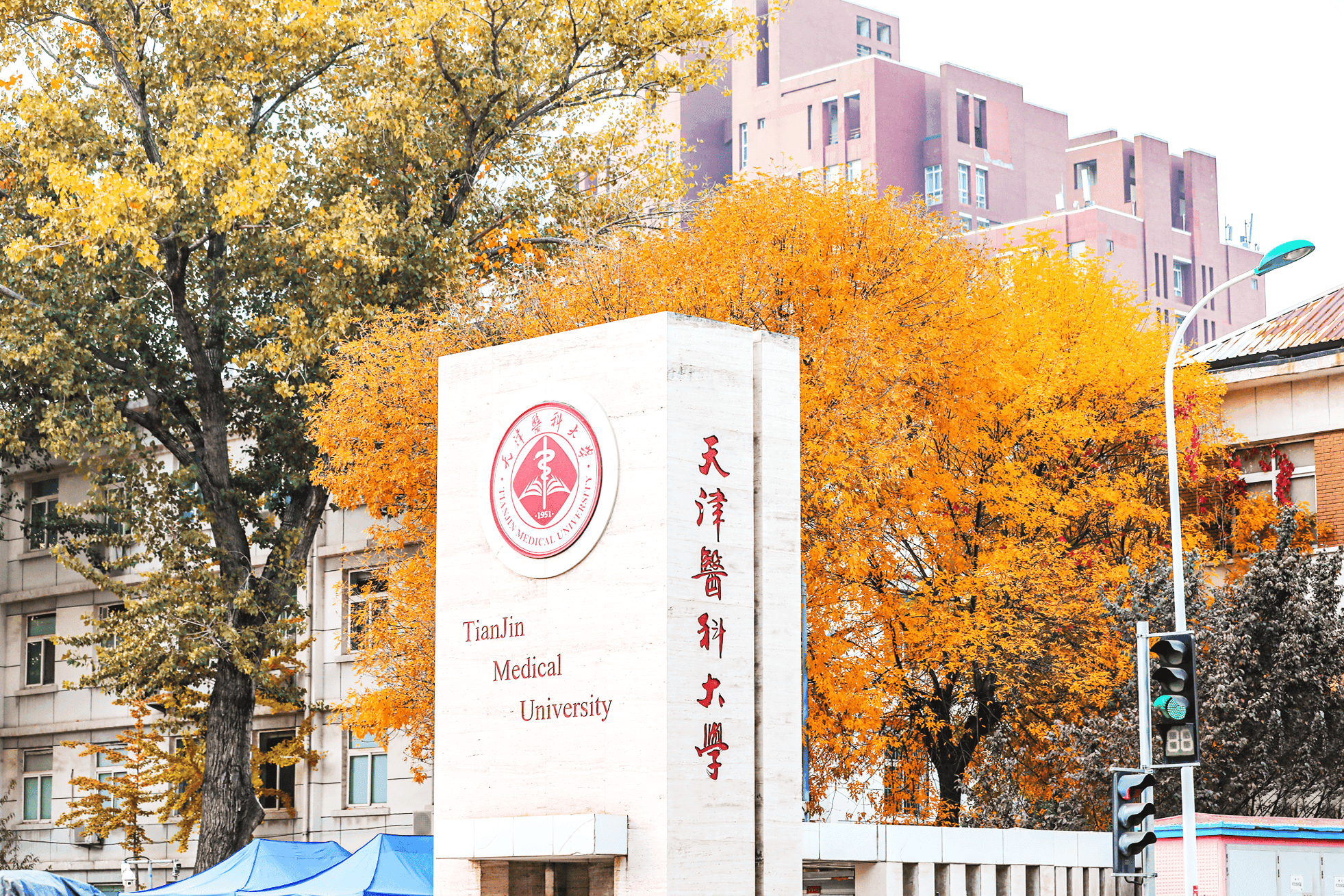 天医医学影像学专业：培养跨学科全能人才