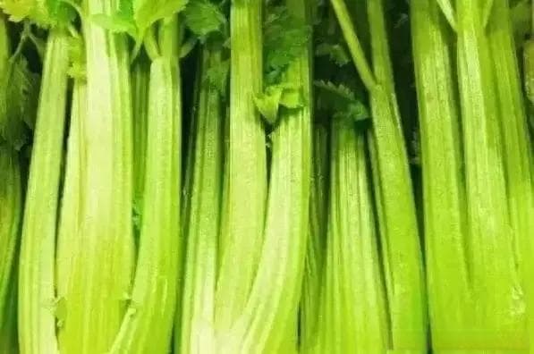 多吃芹菜好处多，有助于降压？提醒：这2类人再喜欢，也要少吃