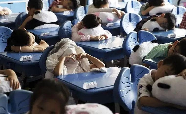 上海明确：中小学生午休时间不少于30分钟