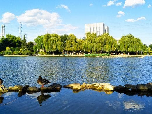 北京世界花卉大观园：29个特色温室打造的植物王国