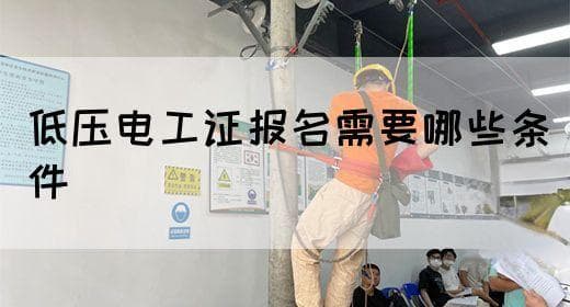 低压电工证报名需要哪些条件