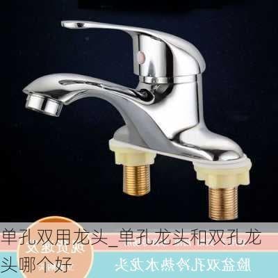 单孔双用龙头_单孔龙头和双孔龙头哪个好