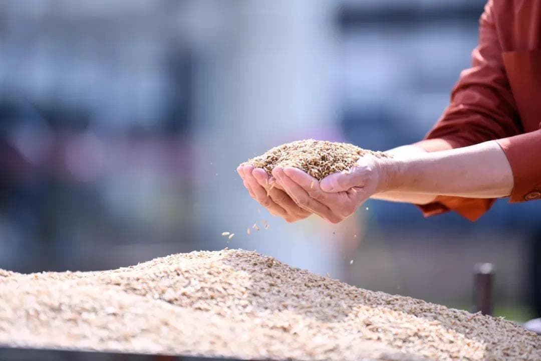 健康时报：营养师揭秘10大健康食材