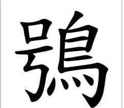 鸮字的文化探秘：猫头鹰的象征与意义