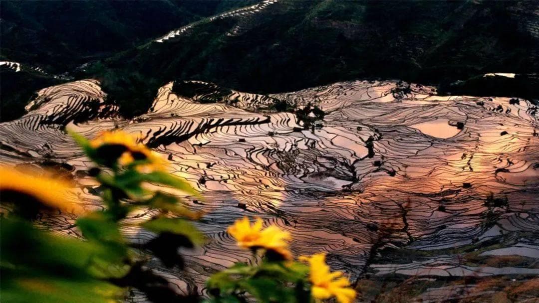 红河州积极探索哈尼梯田保护与发展新路径