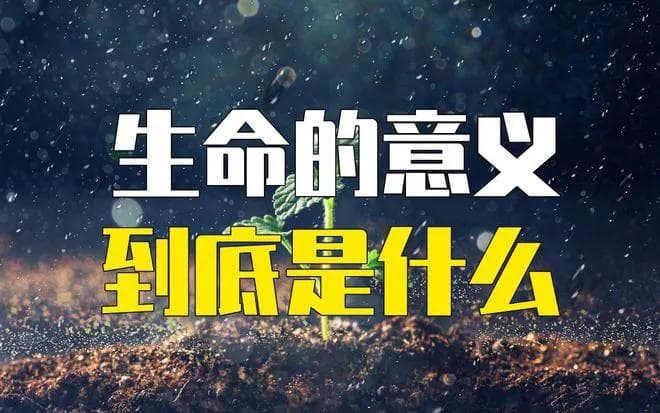 生命到底有什么意义？为什么生命都要走向死亡？