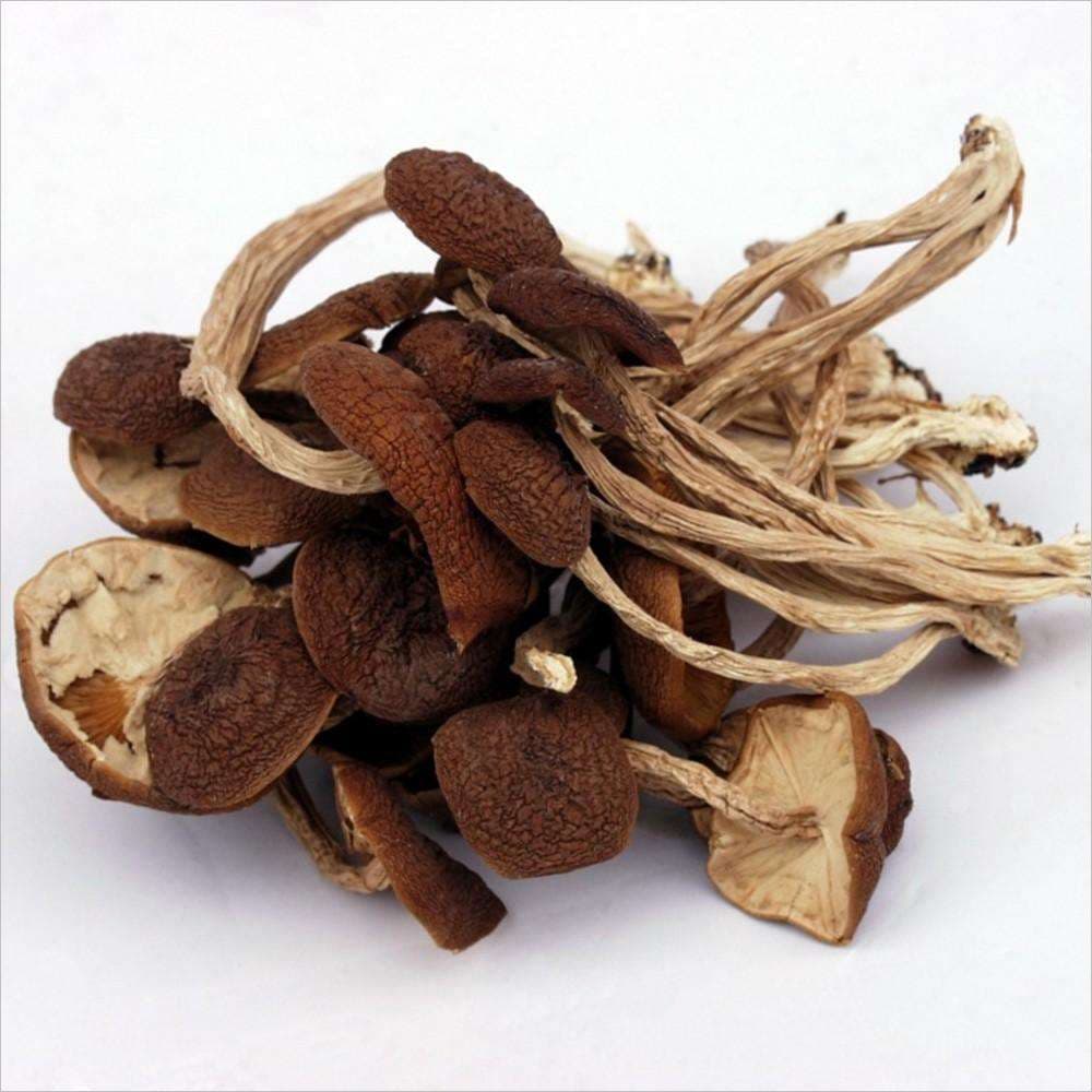 茶树菇适合哪些人群食用？食用禁忌有哪些？
