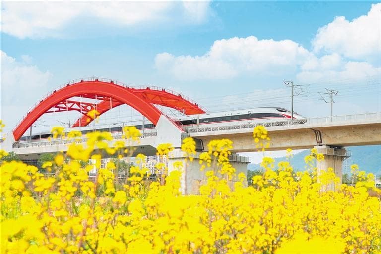 江西省赣州市：加速“融湾” 展现高质量发展新势头