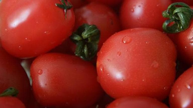 小西红柿的功效与作用、禁忌和食用方法