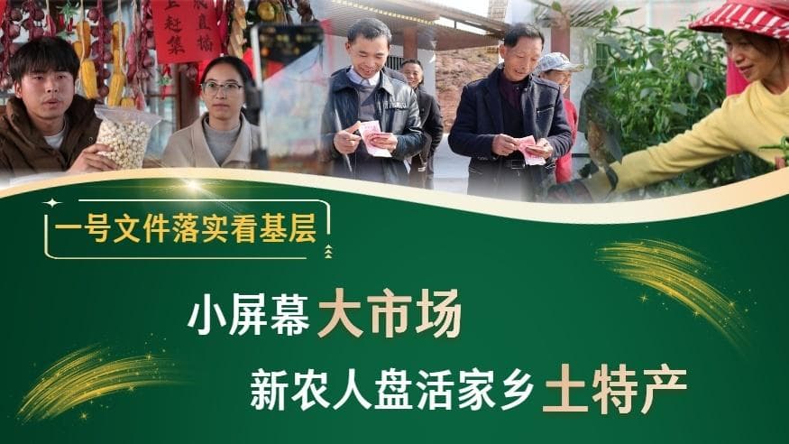 一号文件落实看基层丨小屏幕大市场 新农人盘活家乡土特产