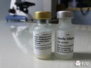 猫三联疫苗预防猫瘟、猫鼻支、猫杯状病毒