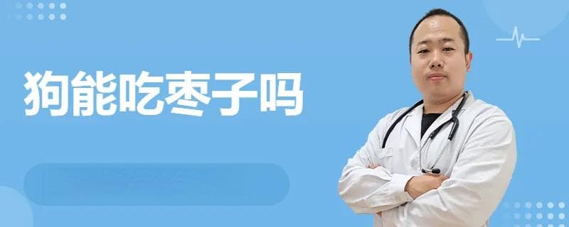 狗狗可以吃枣子吗？需要注意什么？