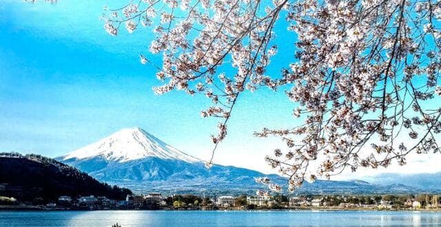 日本经典民谣：《樱花》（附钢琴演奏视频）