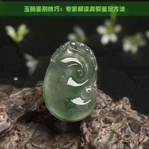玉髓鉴别技巧：专家解读真假鉴定方法