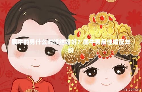 属牛男的最佳婚配年龄与吉年选择