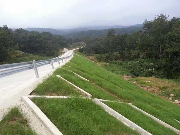 哪些植物可以用来护坡？护坡绿化常用植物推荐