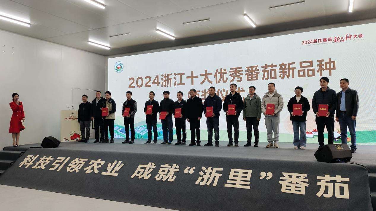 “2024年浙江十大优秀番茄新品种”发布 它们因何上榜？