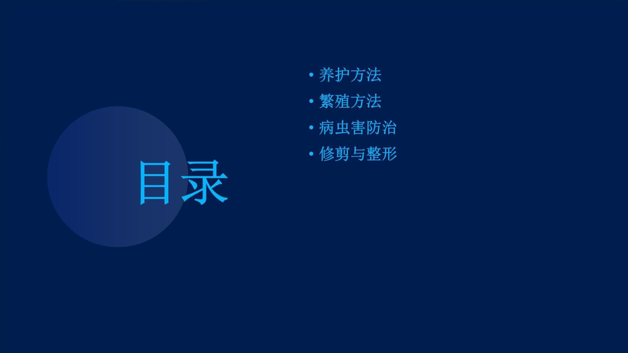 重瓣矮牵牛如何养护与繁殖