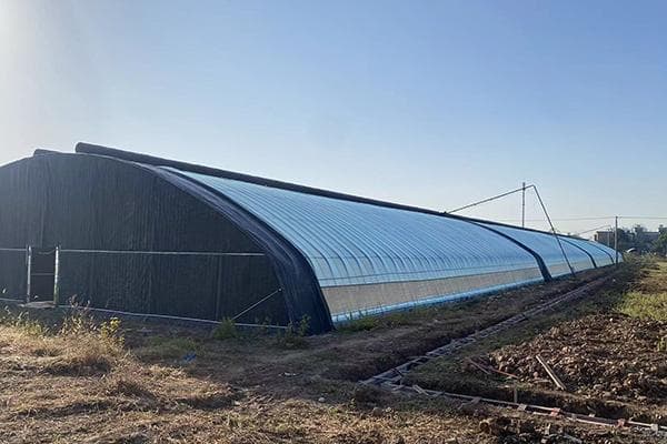 不同类型温室大棚高度范围，建造大棚并非越高越好