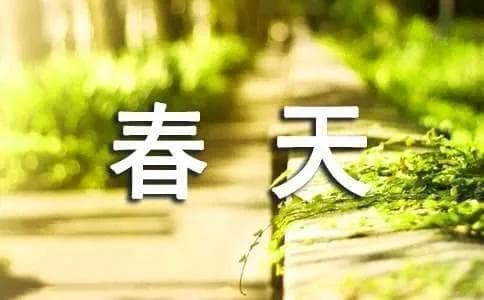 简短的春天现代诗合集