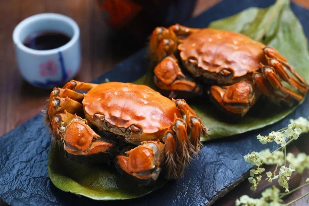 养生｜蟹香四溢秋意浓，健康食蟹有讲究