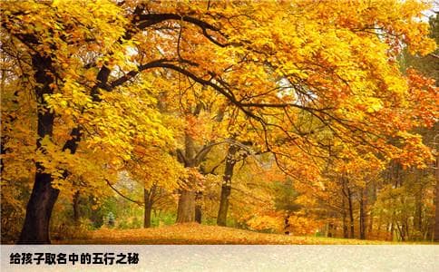给孩子取名的问题五行