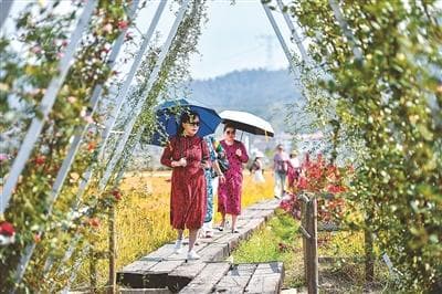 体验村味生活 乐享乡村之美（走进乡土中国）