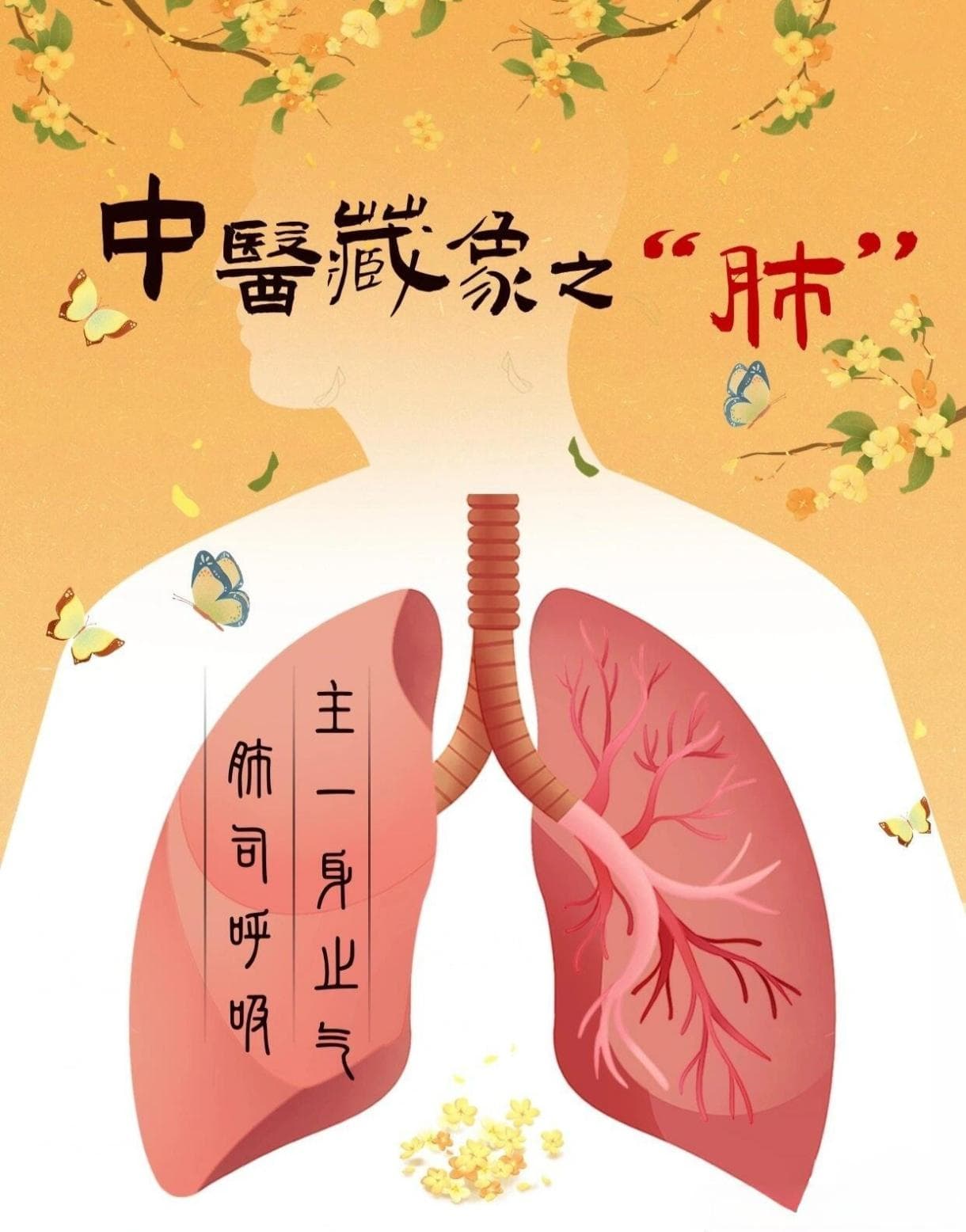 秋冬护肺，中医智慧