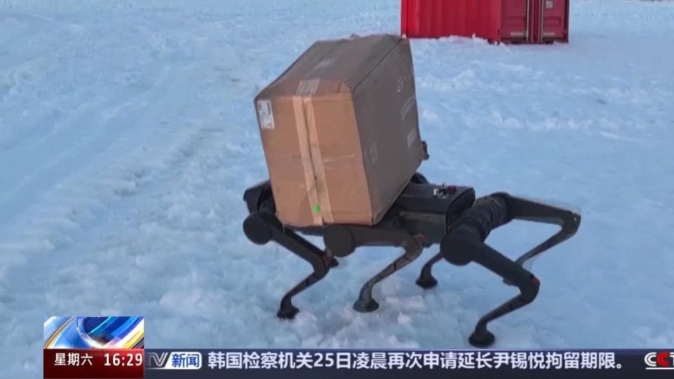 能运输能“开路” 看机器狗如何在南极“上班”