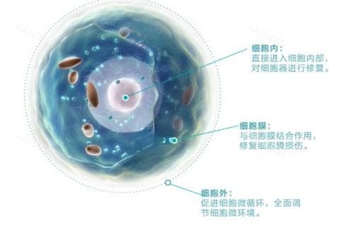 揭秘！外泌体和水光的差异成分、功效、价格等深度解析