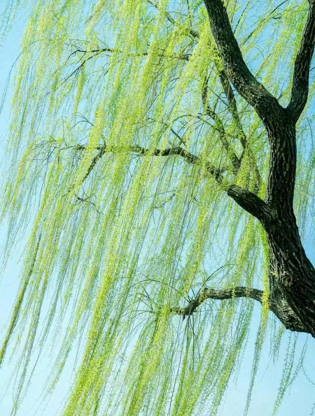 山东男人的独特称呼让全国网友笑喷，一传十，十传百，笑不活！