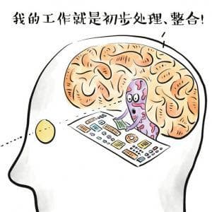 提升记忆力的小技巧