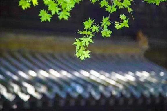 这十个养生小妙招，每天坚持做，有益于身体健康