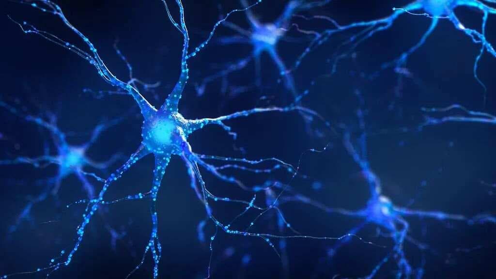 脑机接口到底怎么“接”？对普通人来说有哪些应用场景？一文全解