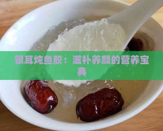 银耳炖鱼胶：滋补养颜的营养宝典