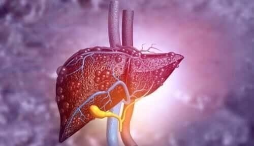 柚子不会加速肝病，6种水果助力肝脏健康