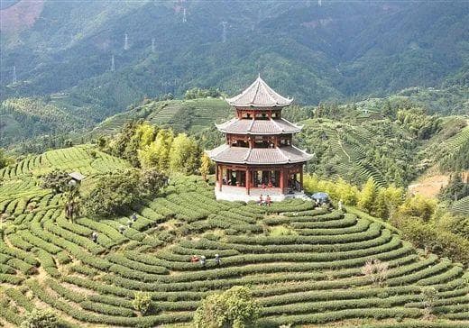 升级打造世界级、5A级、国家级……广西这些景区有新目标！