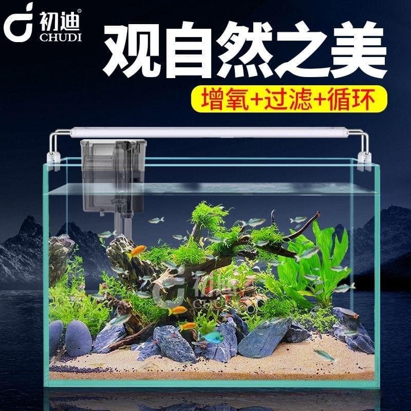 鱼缸材质大比拼：玻璃、亚克力还是PET？一文读懂优劣