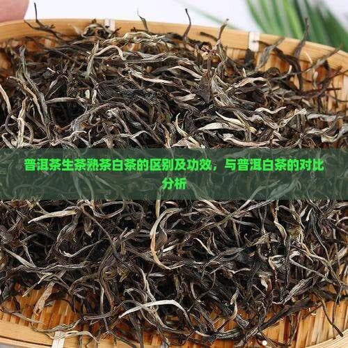 普洱茶生茶熟茶白茶的区别及功效，与普洱白茶的对比分析