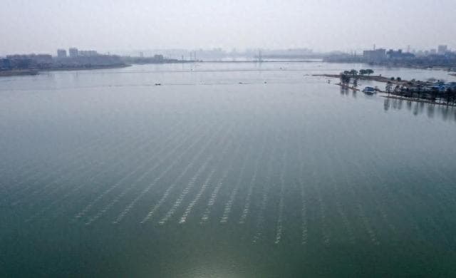 微生物为水治理开出“良方”
