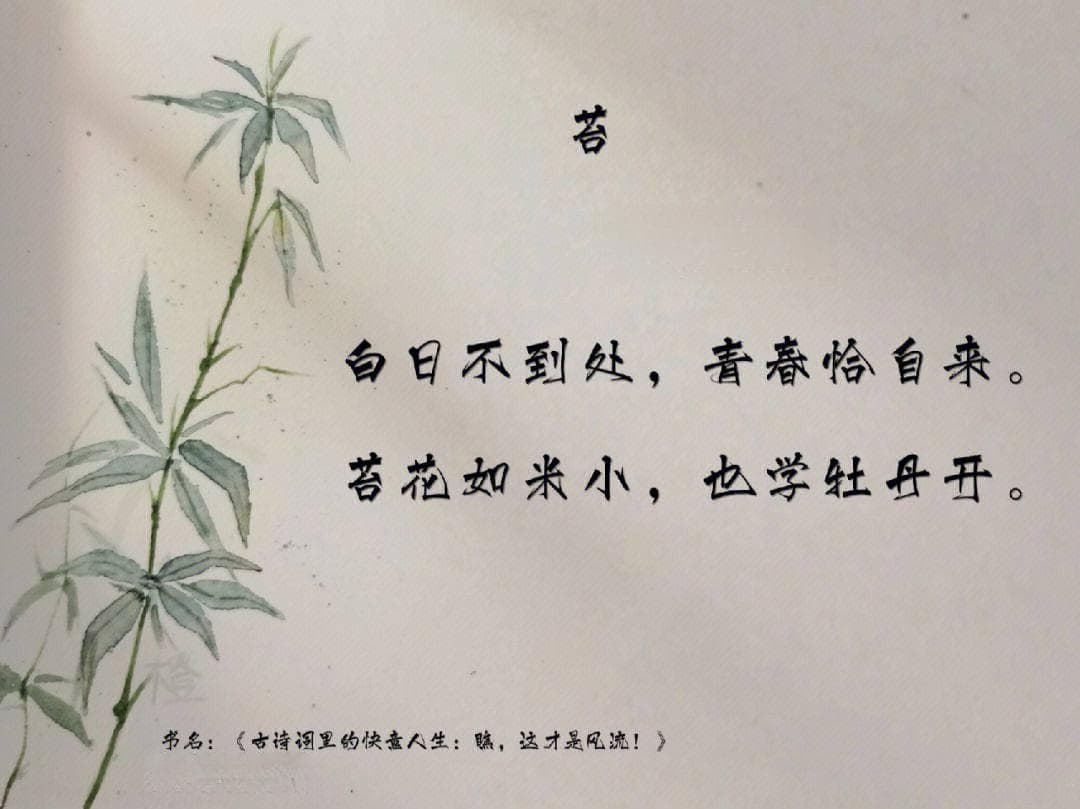 酒徒词客满高堂：酒文化与文学艺术的交融