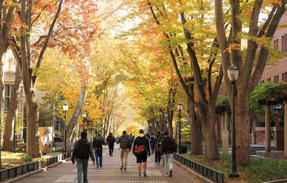2024年出国留学火爆 拔尖人才培养“本土+留学”并重