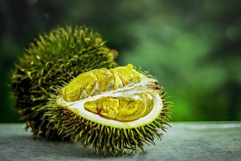 泰国淡季榴莲产量质量双双下滑，越南占据中国市场半壁江山
