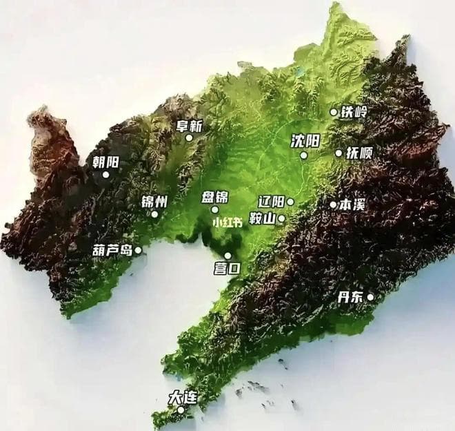 辽宁高校实力榜：大连理工领跑，东北财大跻身前三