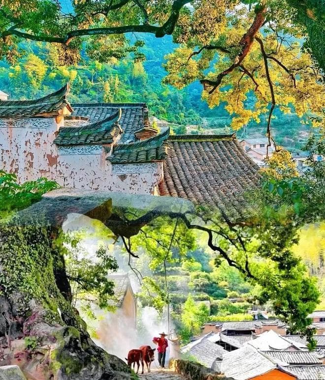 最不浙江的浙江小城，藏着最有仙气的江南！比苏杭更像天堂！